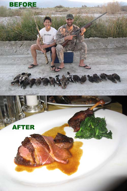 duckbefore_after